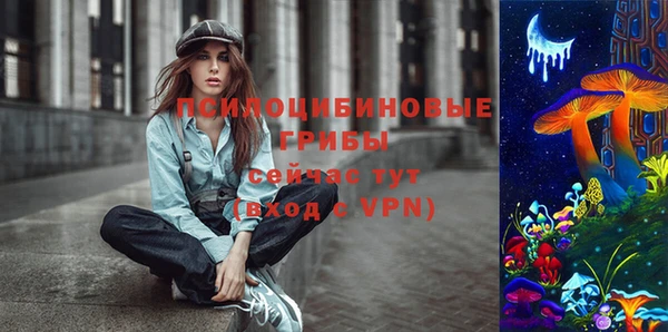 mix Козельск