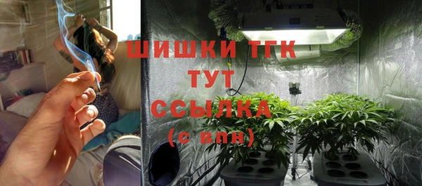 mix Козельск