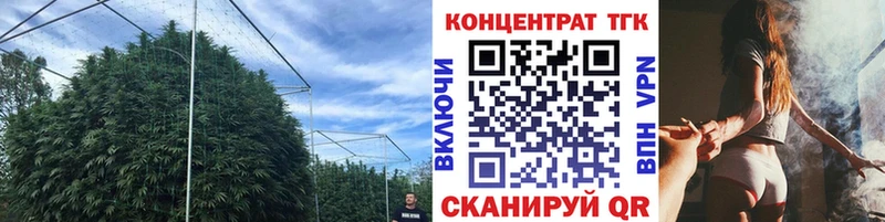 Дистиллят ТГК Wax  как найти закладки  Новоржев 