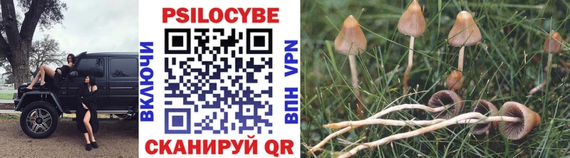 Галлюциногенные грибы Cubensis  дарнет шоп  Новоржев 